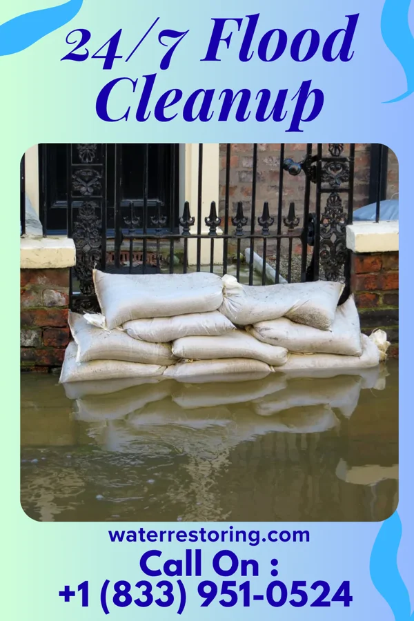 24/7 Flood Cleanup in Washington, VA