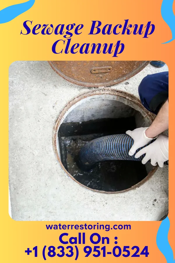 Sewage Backup Cleanup in Washington, VA
