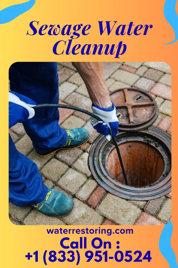 Sewage Water Cleanup in Washington, VA