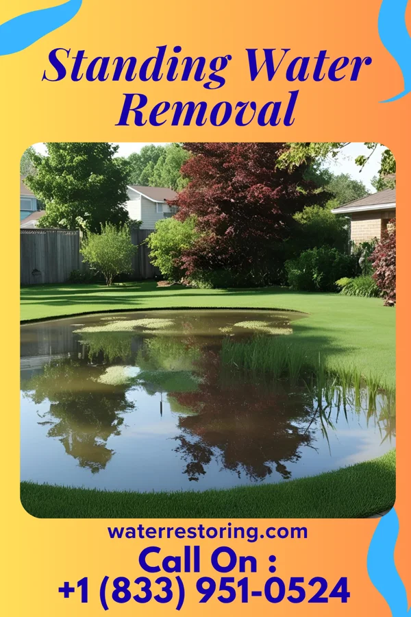 Standing Water Removal in Washington, VA